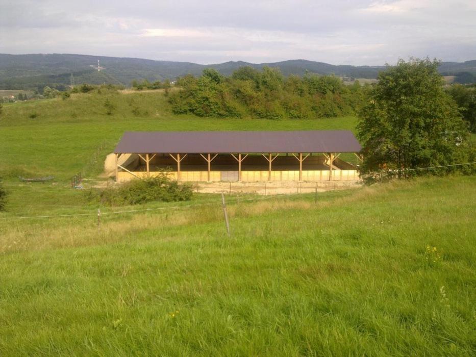Stawy Zielona Dolina Hotel Kudowa Zdroj Exterior photo